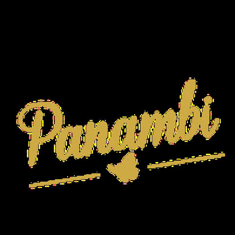 Panambi GIF