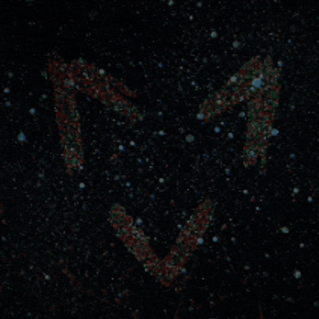 Edm GIF by Fox Haynes