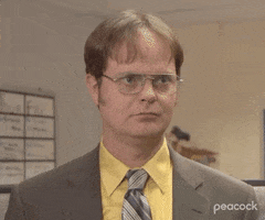 Are You Serious Season 6 GIF by The Office