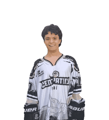 Inline Hockey Goal Sticker by CentPatins