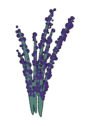 Flowers Lavender Sticker