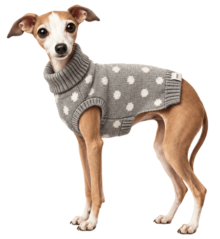 Italian Greyhound Sticker by MISTER WOOF