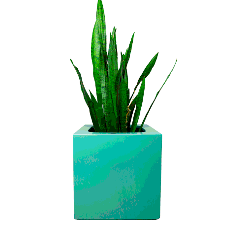 FiberPotxMacetas Sticker