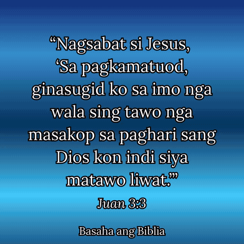 Jesus Bulawan GIF