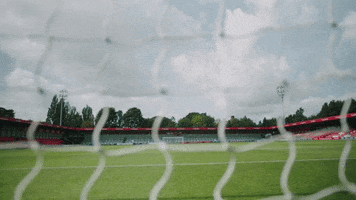 Football Soccer GIF by Salford City FC