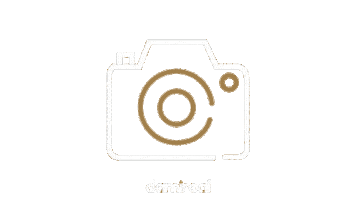 Photo Camera Sticker by Damiroal Estudio Creativo