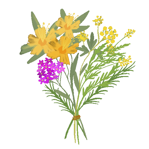 Summer Illustration Sticker