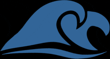 GIF by Just Africa Scuba