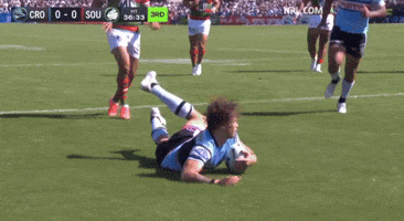 Nrl Sharks GIF