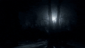 Scared Evil Dead GIF
