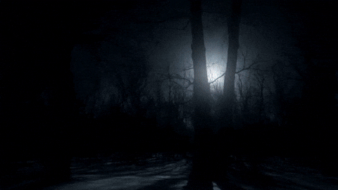 Scared Evil Dead GIF