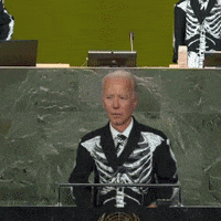 Joe Biden Meme GIF by The Gregory Brothers