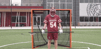 GIF by Lafayette Leopards
