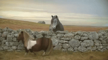 New trending GIF tagged pony moonwalk via http… | Trending Gifs