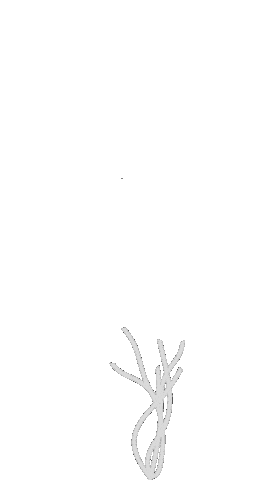 Wedding Grow Sticker