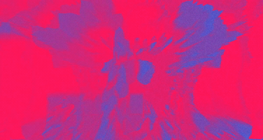 Bloom GIF