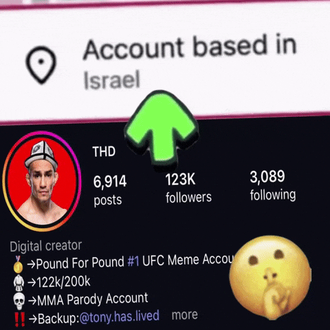 Tony Ferguson Ufc GIF