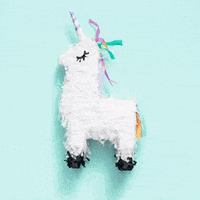 unicorn pinata GIF by evite