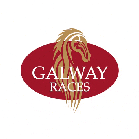 Galway Races GIF