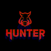 crossfit hunter GIF by Ao Cubo