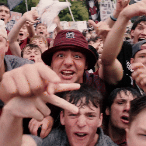 South Carolina Football GIF by Gamecock Athletics