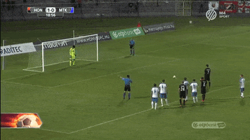 meszolysaman  GIF