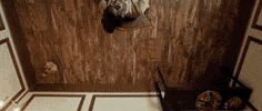 Young Thug Homie GIF