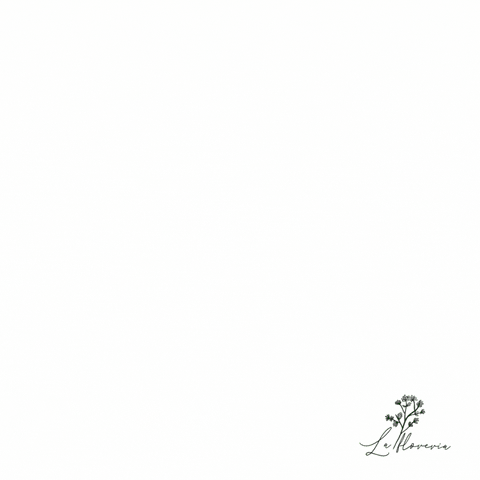 La Floreria GIF
