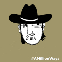 liam neeson art GIF by A Million Ways To Die In The West