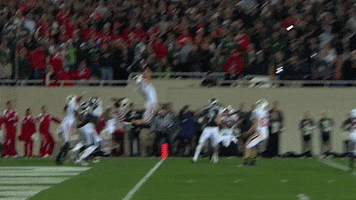 College Football Touchdown GIF by Michigan State Football