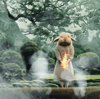 Bunny GIF