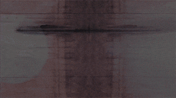 holy cow is this scientology? GIF by Digg