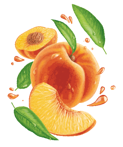 Peach Pluss Sticker by OMBU