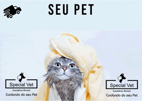 specialvetoficial cat gato petshop gatinho GIF