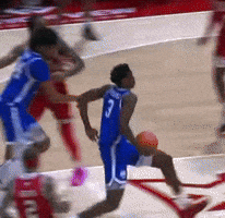 Utah Utes GIF