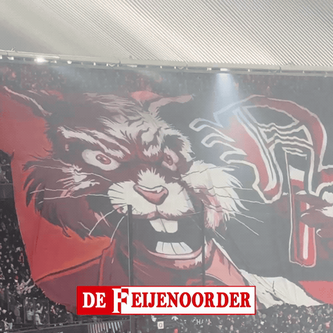 De Kuip Fan GIF by De Feijenoorder