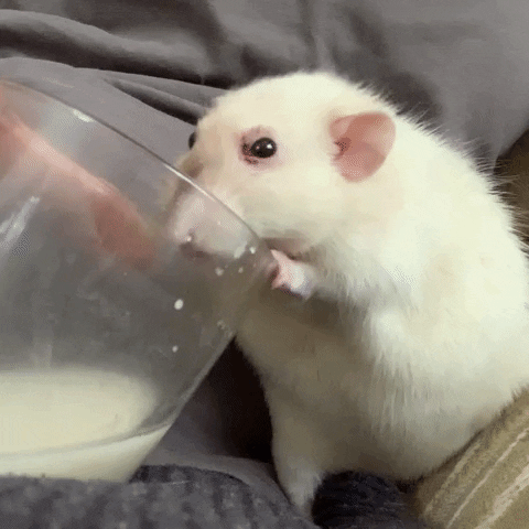 GIF by Mariya.Saakyan