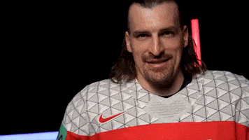 Český hokej GIF