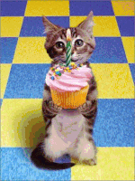 Happy Birthday Cat GIF