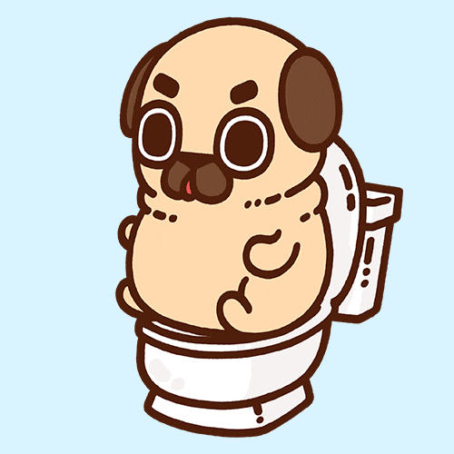 Toilet Pugs GIF by Puglie Pug