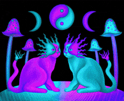 Deep Space Violet GIF