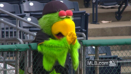 Pirate Parrot, Pittsburgh Pirates