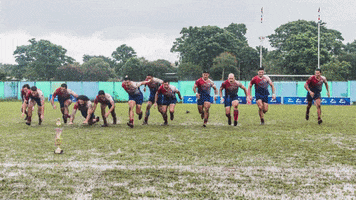 Rugby GIF
