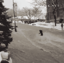 university student GIF