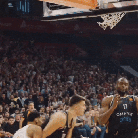 Crvena Zvezda Kkcz GIF