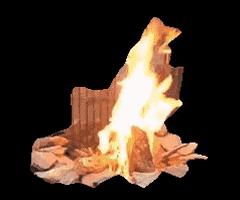 Fire Campfire GIF by Justin