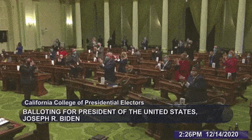 Electoral College California GIF by Election 2020