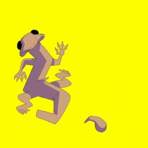 Animation Love GIF by Patrick Meikle