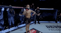 Ufc 257 Poirier Vs Mcgregor 2 Gifs Find Share On Giphy