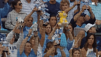 University Of North Carolina Baseball GIF by UNC Tar Heels